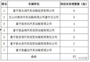 文山最新爆料台,揭秘幕后真相,带你走进事件核心